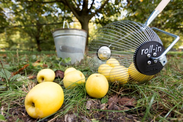 Raccoglitore Universale Zewool Roll-In - Per Castagne, Noci, Palline Da Golf, Acciaio Inox - Foto 9