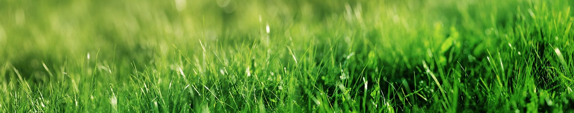 ACCIAIO al carbonio impiotatura FERRO 1000mm tagliare taglio del tappeto erboso Terreno Giardino Giardinaggio Strumento 